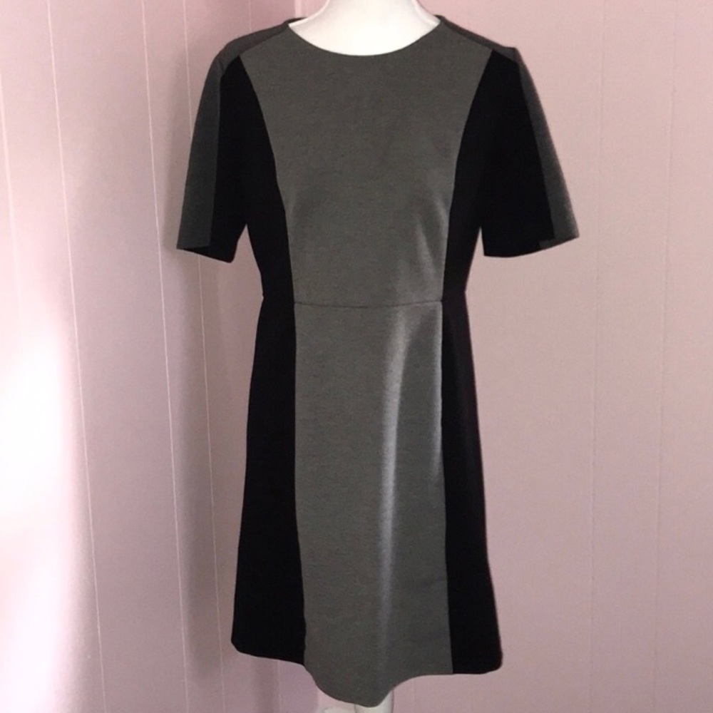 Loft Black Gray scuba dress Very flattering fit